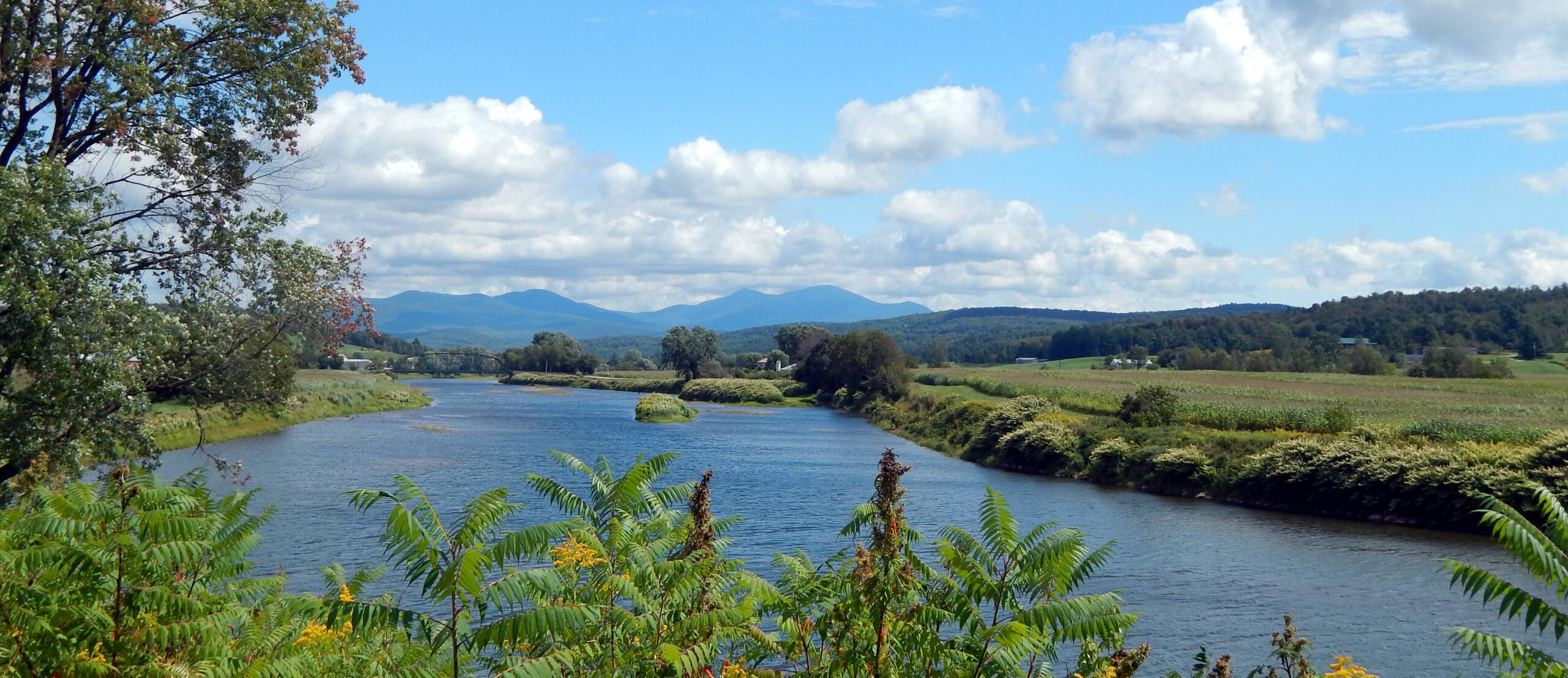 Missisquoi River Image