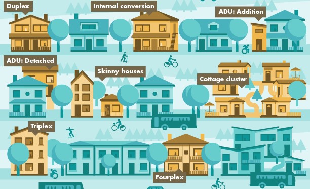 Housing Options Graphic